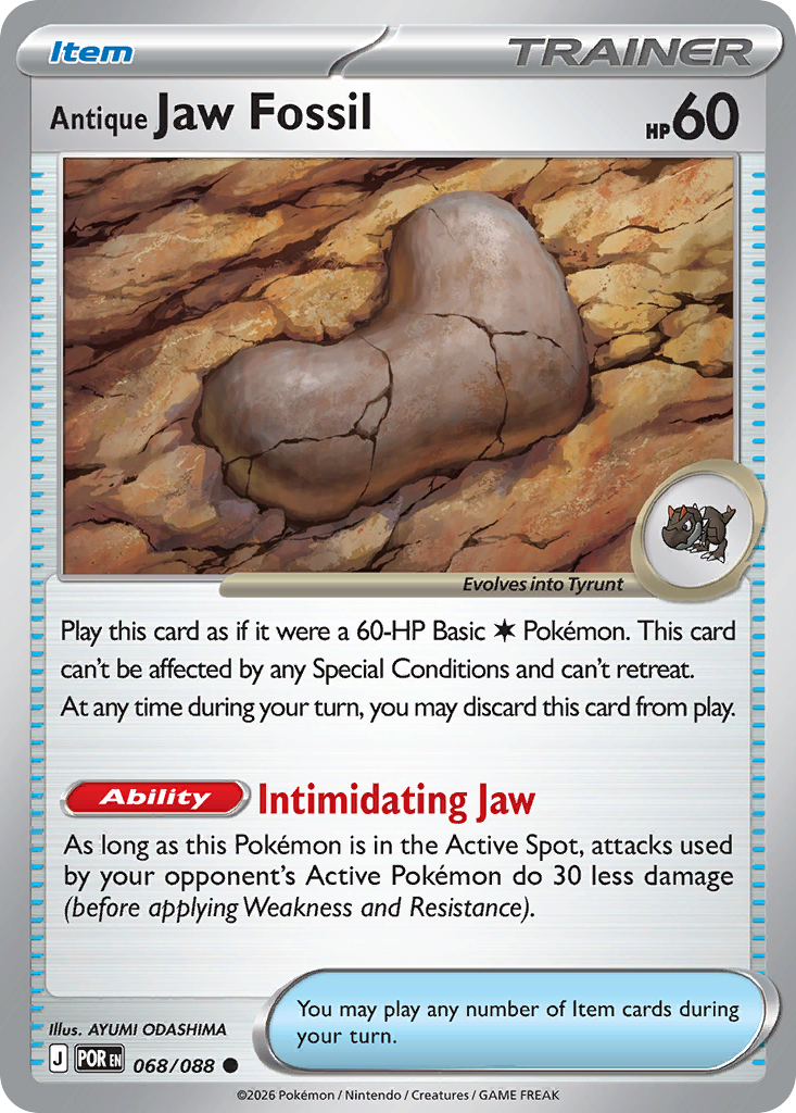 Antique Jaw Fossil - Perfect Order - 068/088