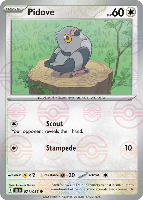 Pidove – Black Bolt – 71/86 - Pokeball Holo
